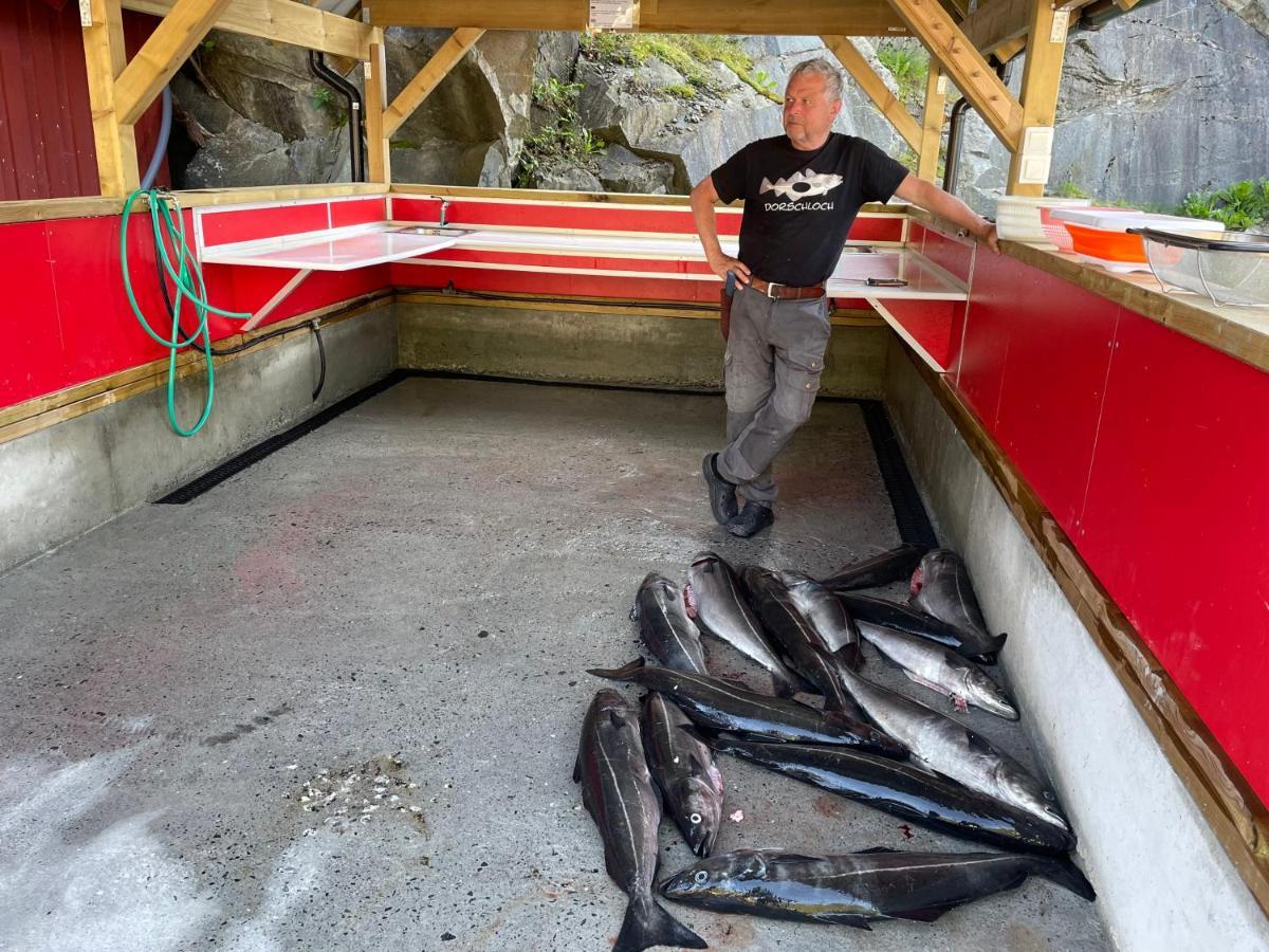 Kyrping Camping Kültér fotó