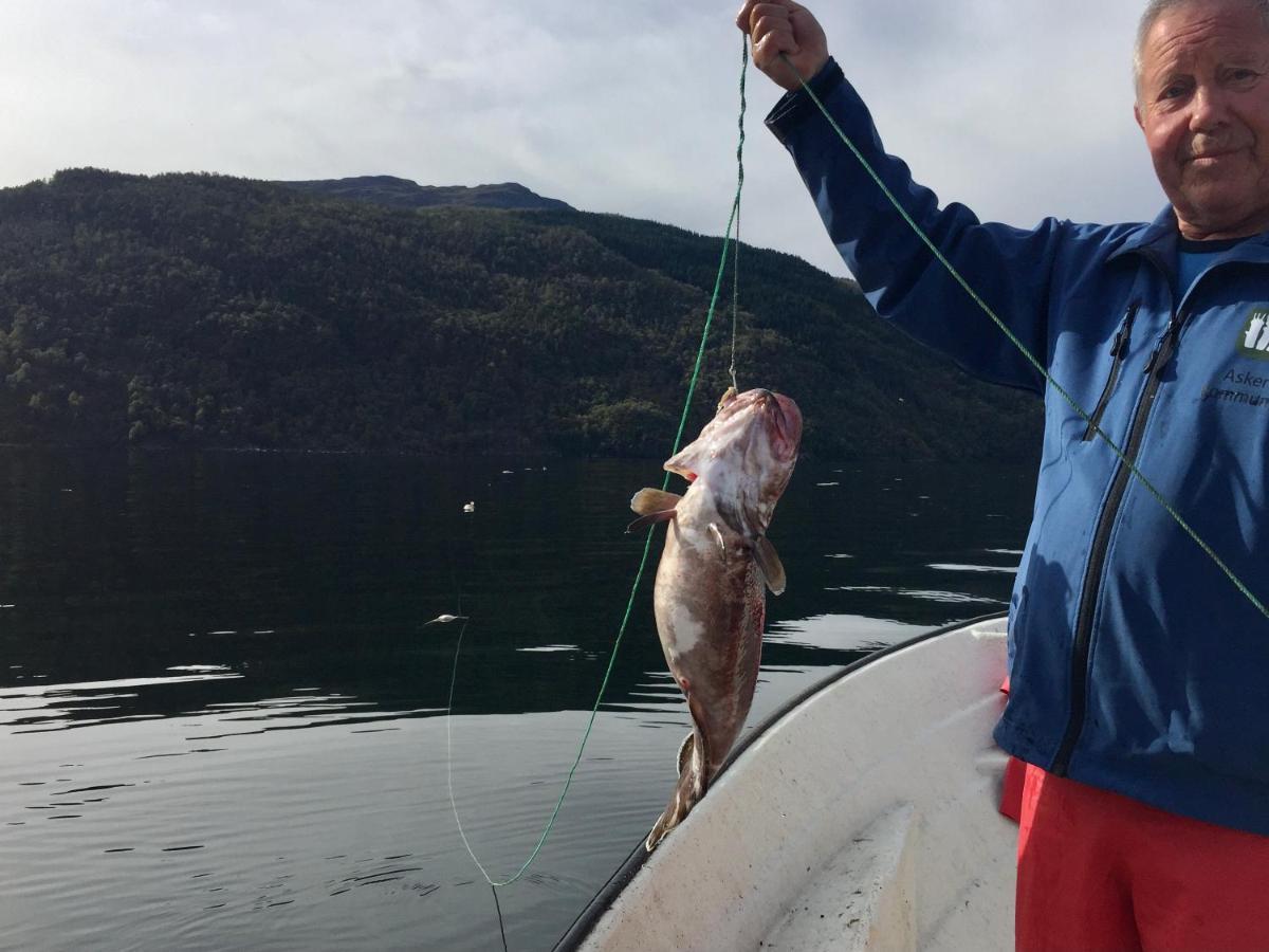 Kyrping Camping Kültér fotó